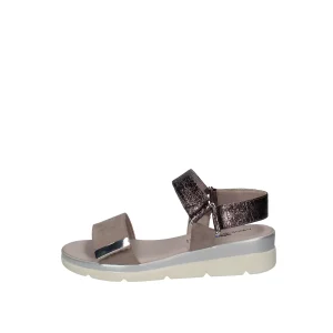 Comart  243360 Tortora